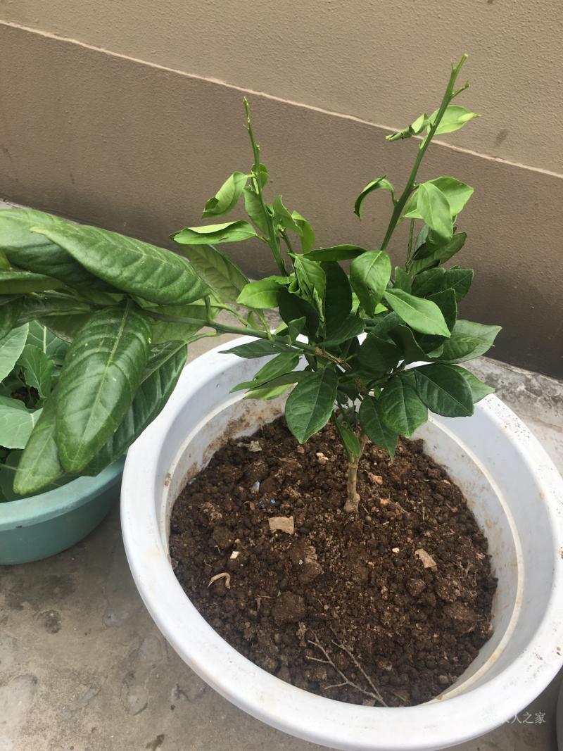 (一键搞定特殊符号)-凯时在线入口